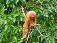 _104029r_small.jpg