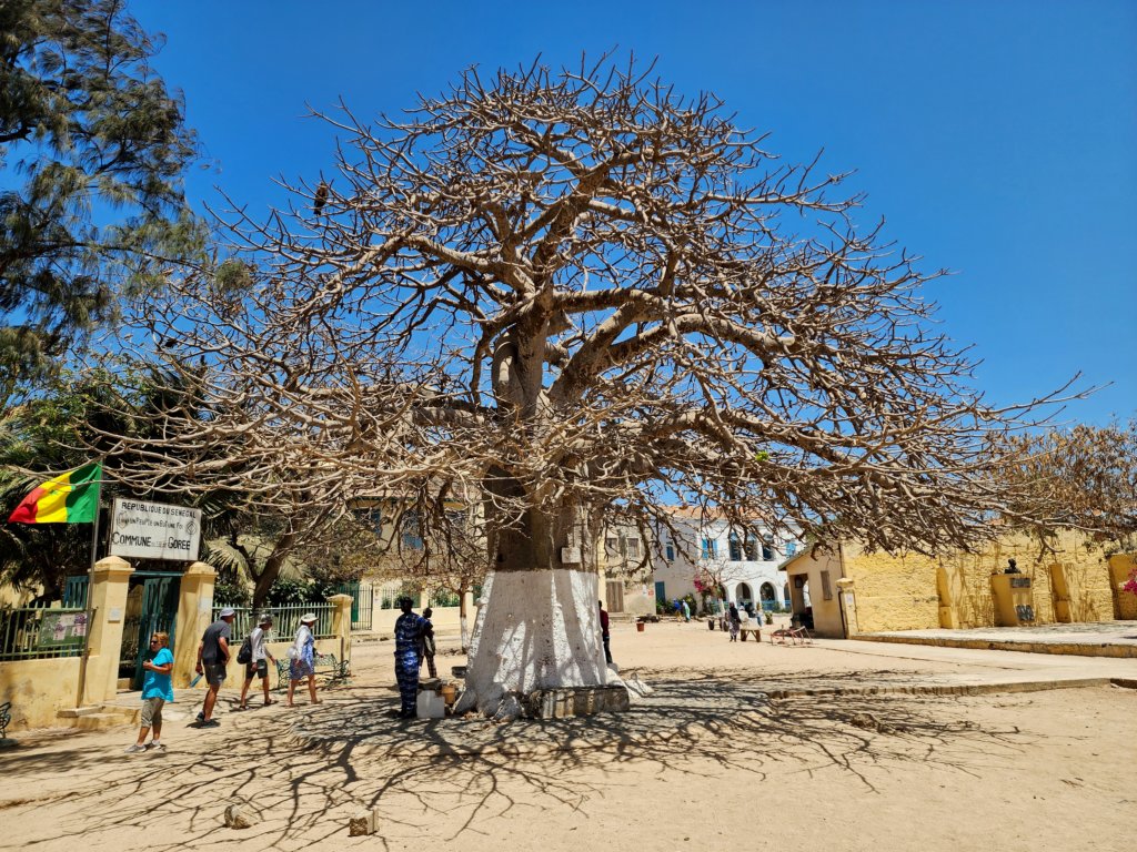 _120023r.jpg