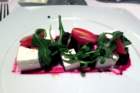 img_5595r_small.jpg