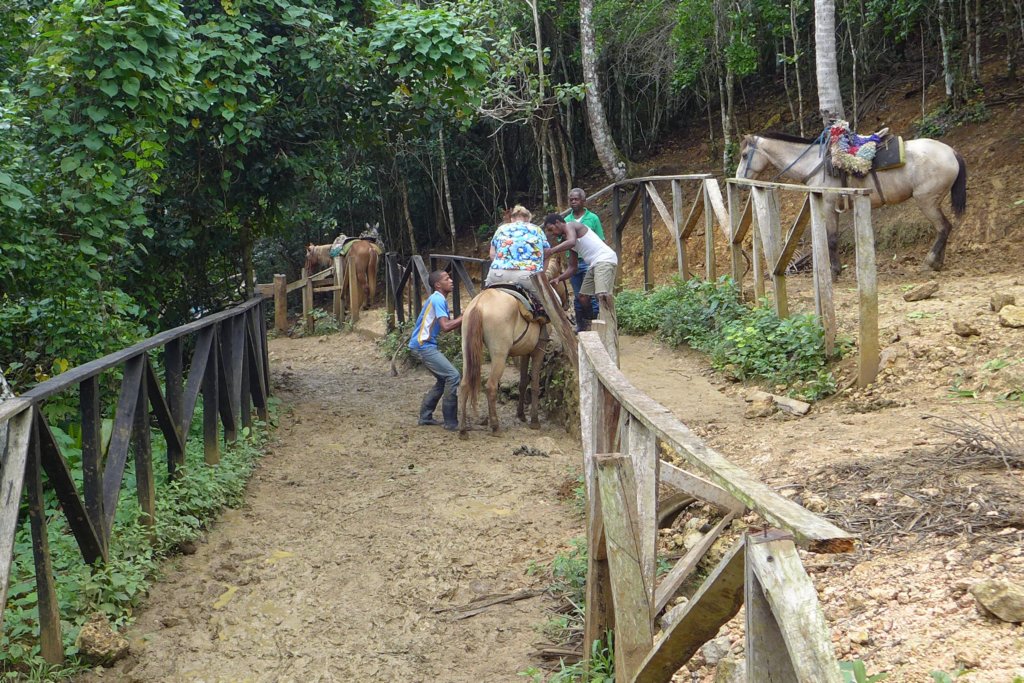 p1060594r.jpg