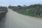 p1060853_small.jpg