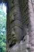 p1000353r_small.jpg