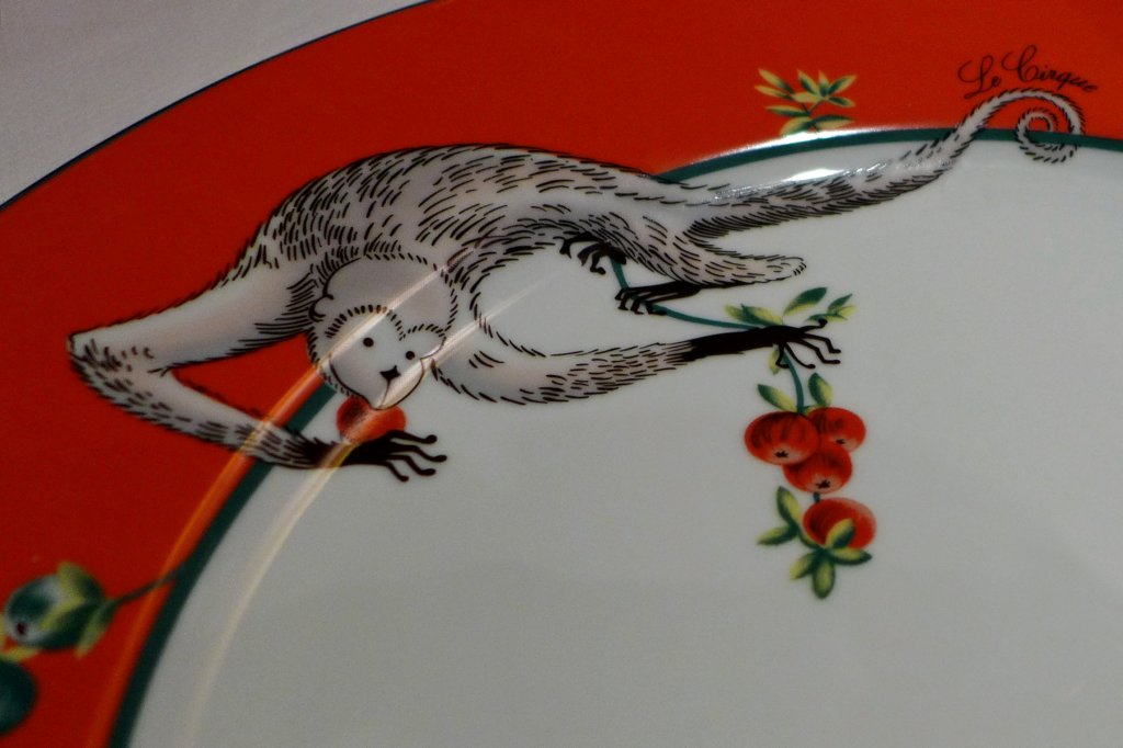 p1000434r2.jpg