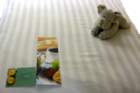 p1000613r_small.jpg